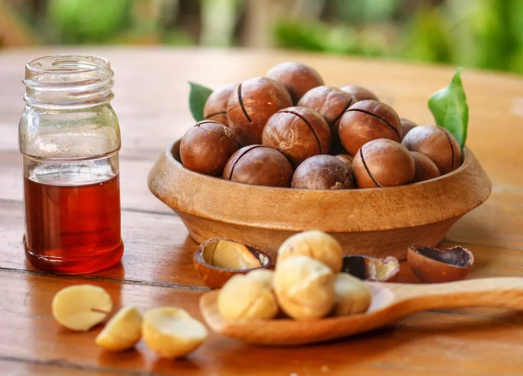 Hạt mắc ca chứa nhiều chất dinh dưỡng