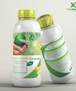 Dịch chuối XANHome chai 1L