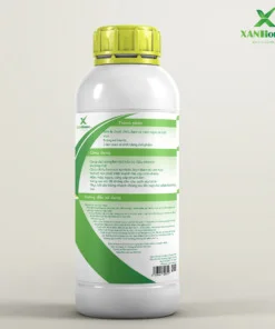 Dịch chuối XANHome chai 1L