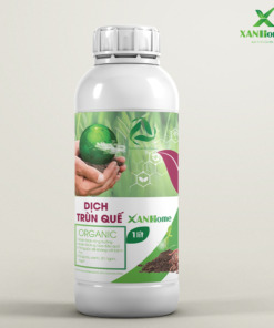 Dịch trùn quế XANHome chai 1L