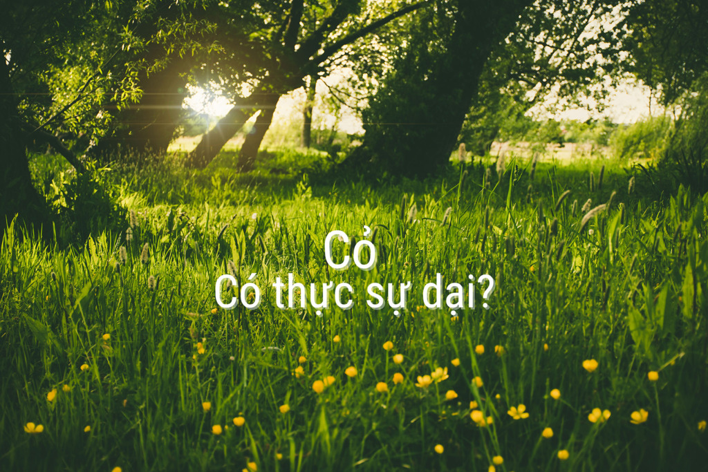 Vai trò của cỏ dại trong nông nghiệp