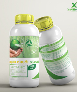 Dịch chuối XANHome chai 500mL