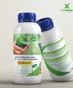 Chế phẩm sinh học EM gốc cao cấp XANHome